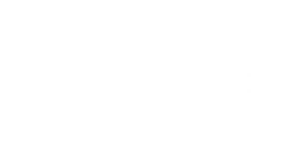inxile