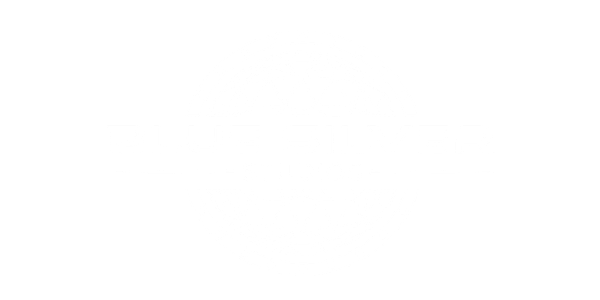 Blue Silver Studios