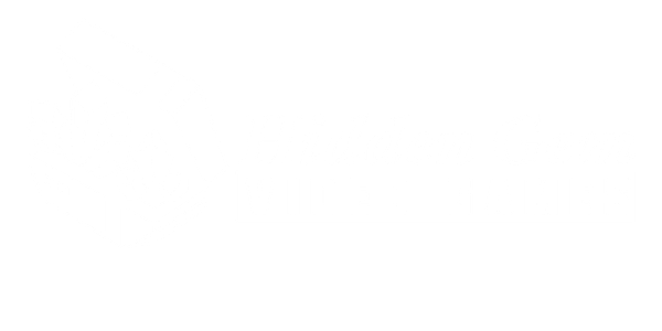 Hidden Gem Video Games