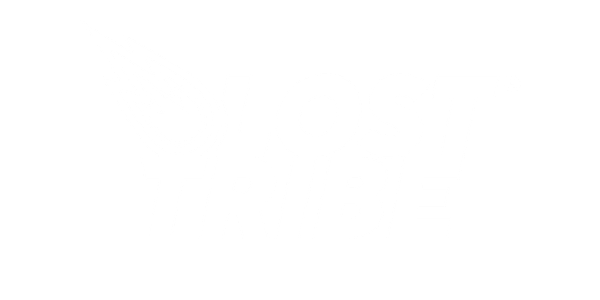 LostTribe Esports
