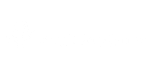 Magic Soup Games