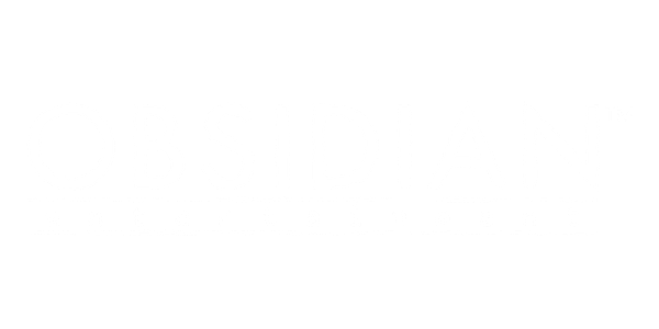 Obsidian Entertainment